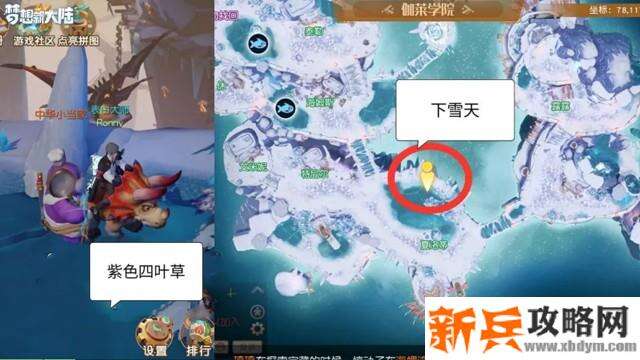 梦想新大陆四叶草是爱情的形状奇遇攻略