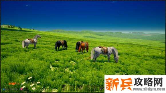 我的海岛《MyIsland》攻略