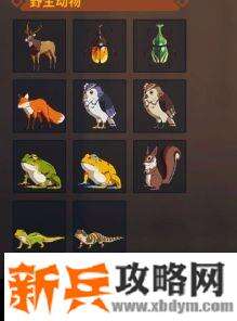 狩猎时刻森林攻略