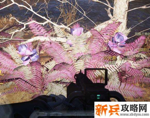 辐射76《Fallout76》红色紫色溶剂制作攻略