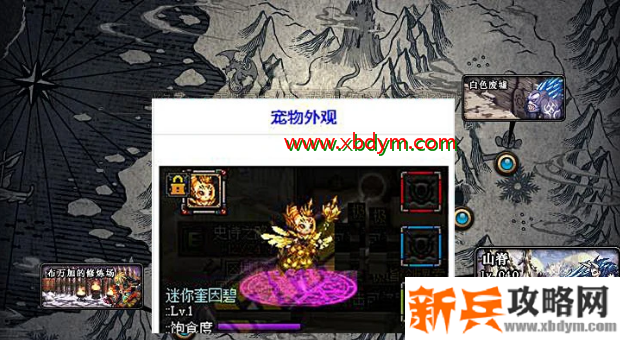 dnf迷你奎因碧宠物外观展示