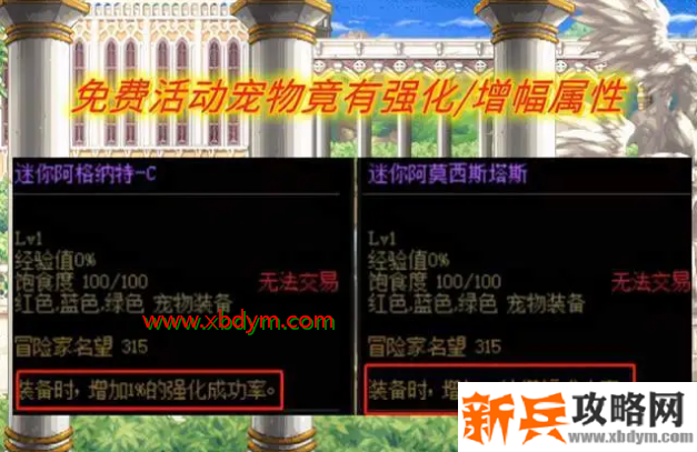 dnf迷你阿格纳特C宠物外观展示