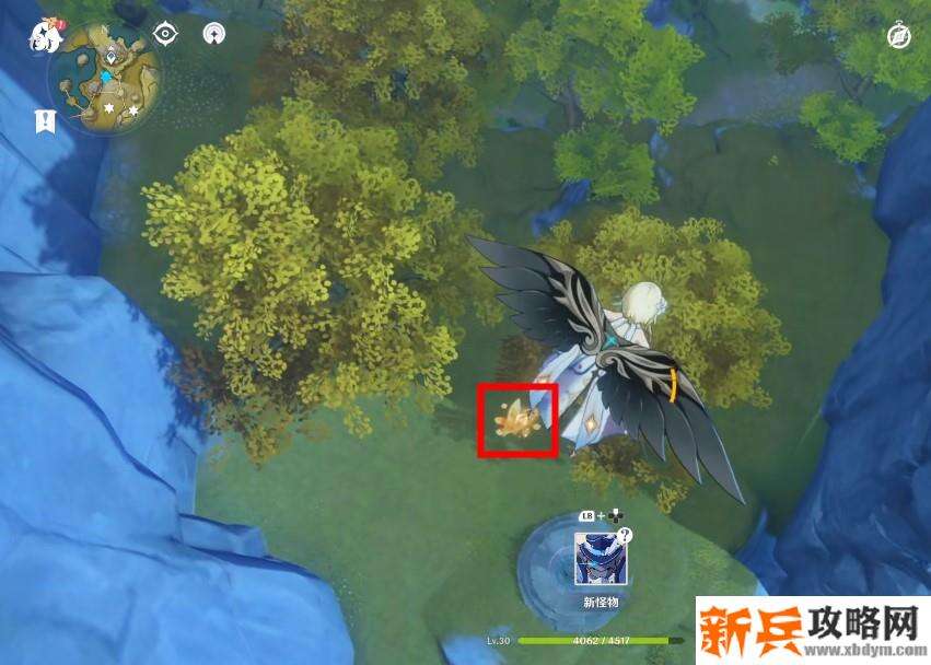 华光林岩神瞳位置