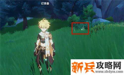 原神风种子位置