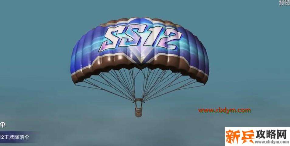 《和平精英》ss12特训套装图文一览