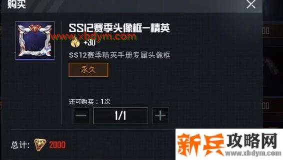 《和平精英》ss12特训套装图文一览