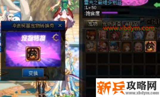 DNF冲浪柯基宠物转换券获得方法 多买多送