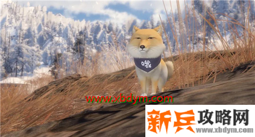 《逆水寒》宠物哦呜介绍