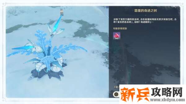 原神霜覆的奇迹之树位置介绍