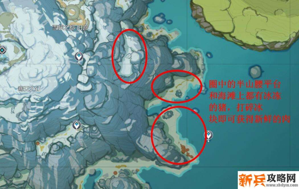 原神新鲜的肉在哪里