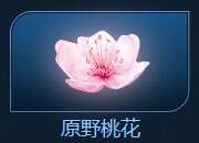 CF原野桃花获得方法 游戏1局