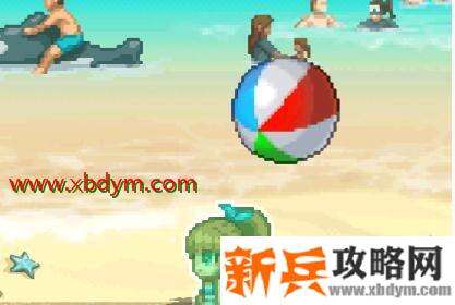 《DNF》沙滩排球宠物属性一览