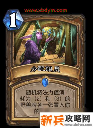 《炉石传说》分配组员怎么样