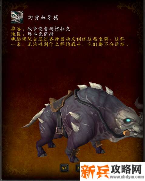魔兽灼背血牙猪获得方法