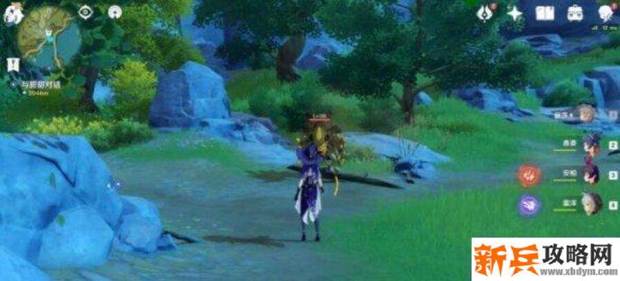 幼岩龙蜥的位置在地图哪里