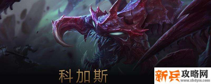 s11赛季大虫子出装