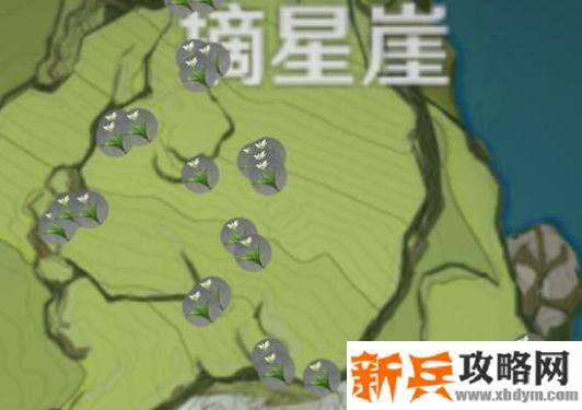 塞西莉亚花的位置