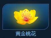 CF黄金桃花获得方法 游戏1局