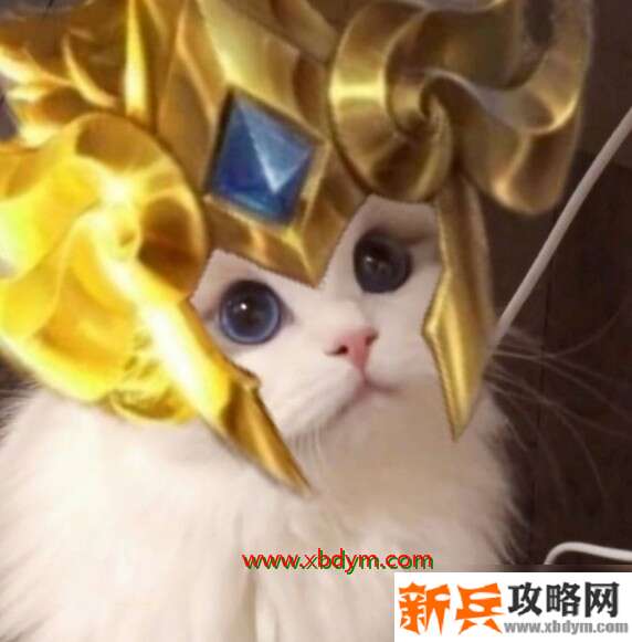 《王者荣耀》黄金狮子座猫咪头像怎么获得